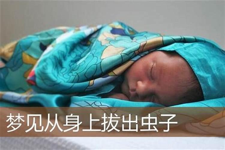 梦见老婆身上长虫子