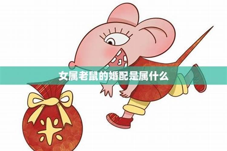 老鼠和老鼠相配婚姻如何,属老鼠和属老鼠在一起婚姻好吗