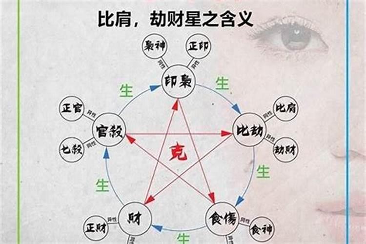 八字命理学中的“比劫”是什么？