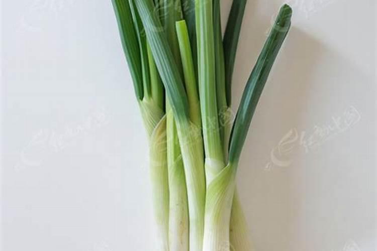 梦见抱着大葱的预兆