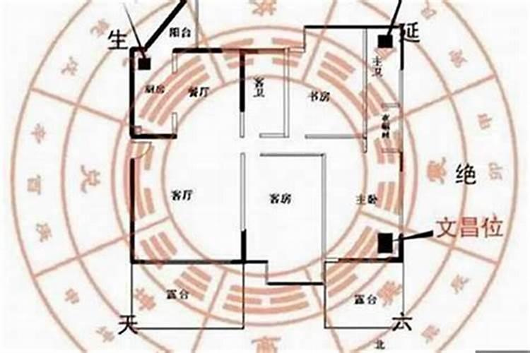 梦见好多男人喜欢我