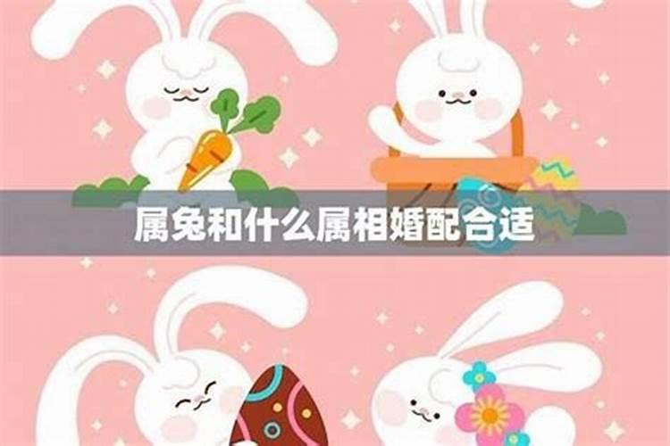 打掉了孩子要怎样回向给他呢佛教网