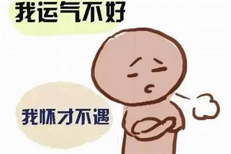 梦见小鸟什么寓意 梦见小鸟是什么意思？