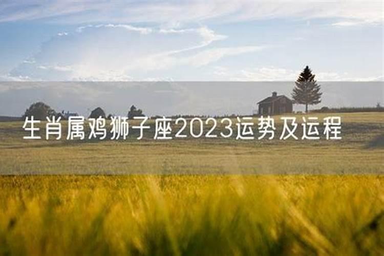 狮子座2025年的全年运势