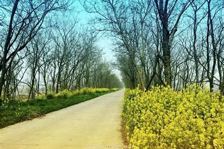 节气立夏有哪些习俗