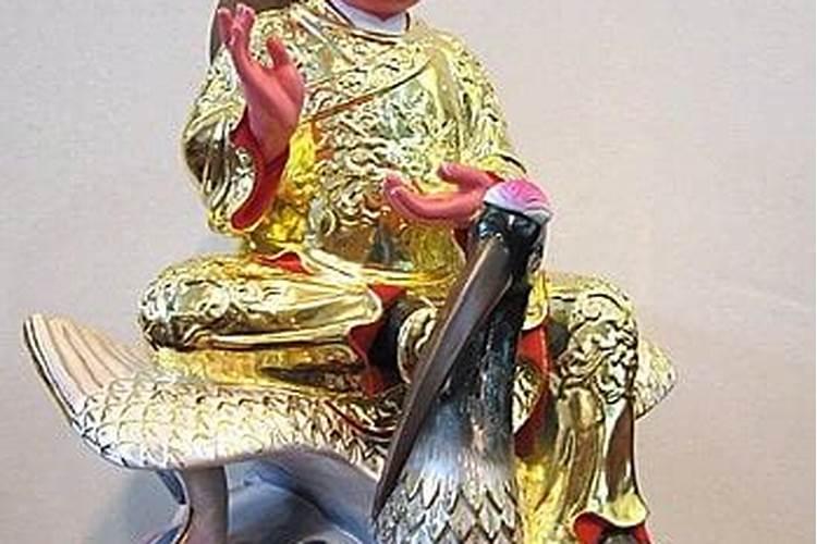 童子命是什么意思