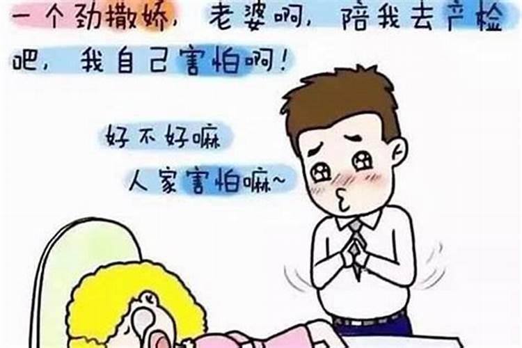 《泪蛋蛋掉在酒杯里》完整版原唱是谁？
