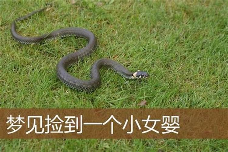 属鼠人在卿鼠年运势,属鼠的克星