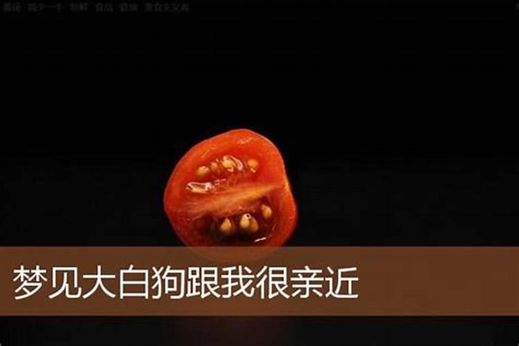 梦见大狗和自己很亲近 梦见大狗和自己很亲近含义