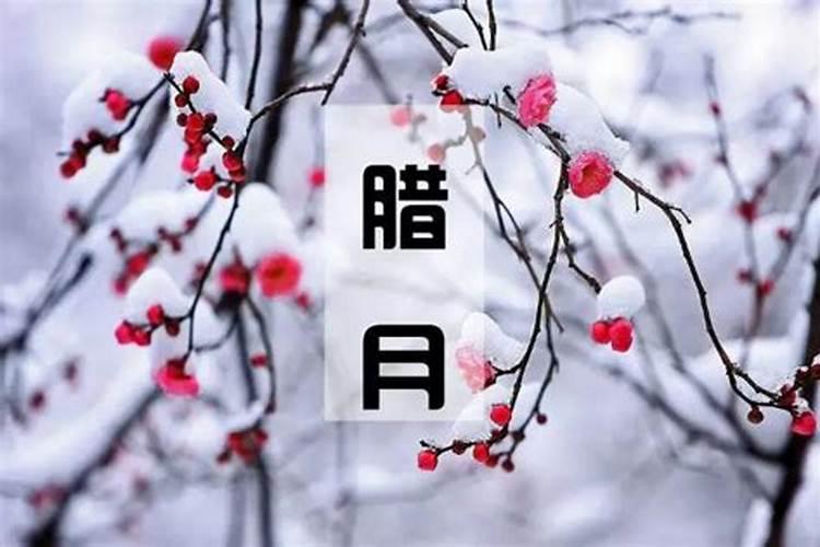 1995农历腊月十八出生的阳历是几月几号