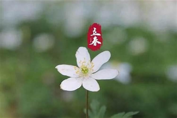 父母因为我和他的八字不合,不同意我们在一起,该怎么办？？
