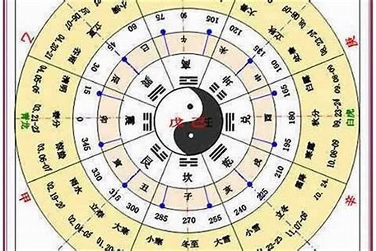 1985年牛是什么命