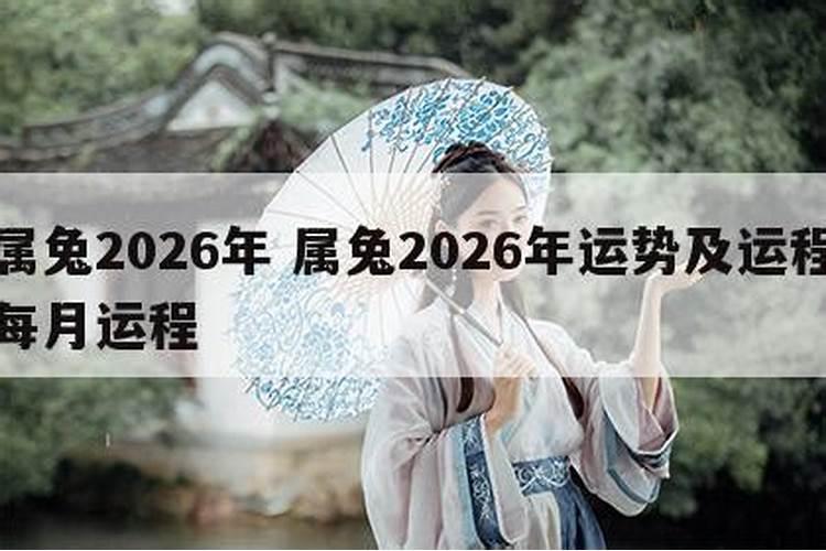 2025属兔人的全年运势如何