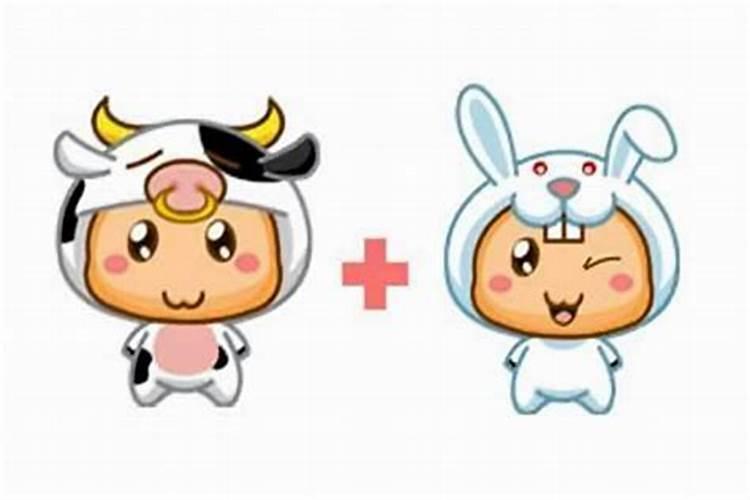生肖合婚:属牛和属兔的婚姻怎么样 相合吗