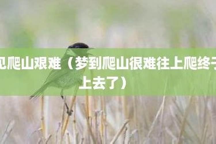 在农村老人去世后第49天,为什么家人要为其“做七”？有何说法？