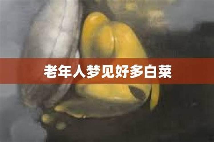 梦见很多老人聚在一起有何含义
