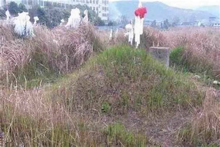 中元节坟墓上的杂草可以除吗中元节坟墓上的杂草能除吗