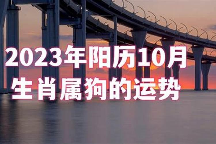 属狗人龙年每月运势