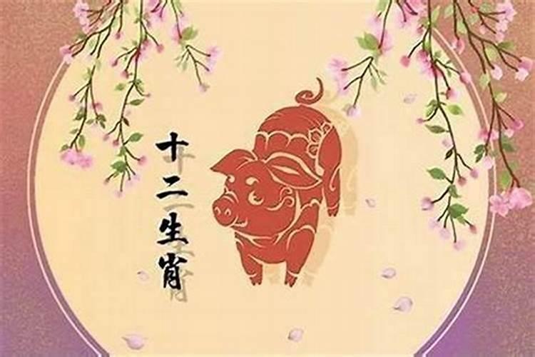 为什么属猪人婚姻不顺命里带二婚是真的吗