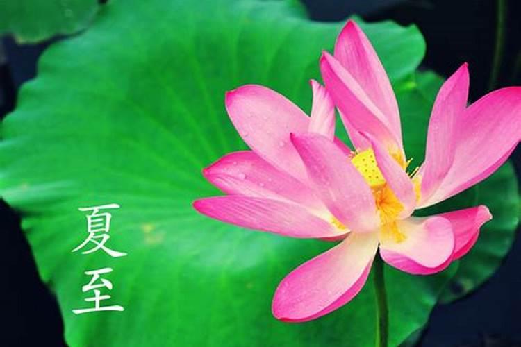 2025年66年属马的运势