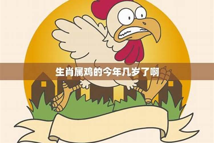 2025彻底翻身的生肖牛命运如何