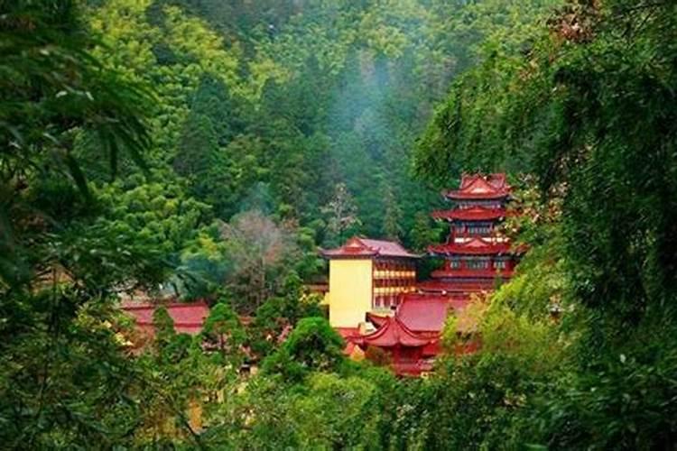 您好:请问在东天目山昭明寺,怎么为堕胎的婴儿超度,如何收费？