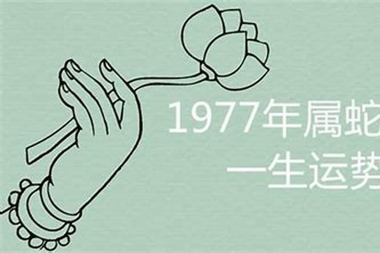为什么77年蛇女命不好？77年属蛇女一生的婚姻状况如何