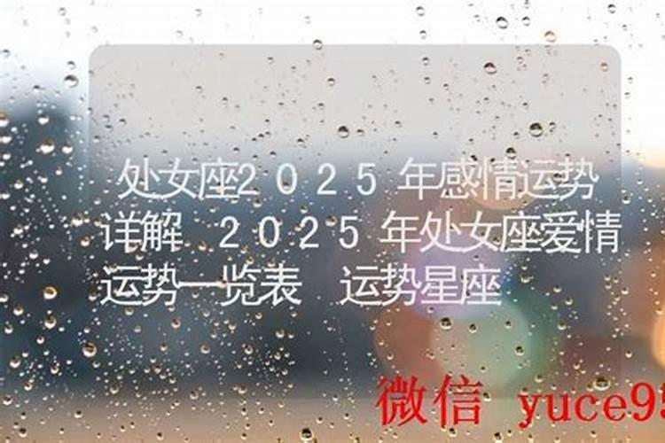 94年狗2025年的运势