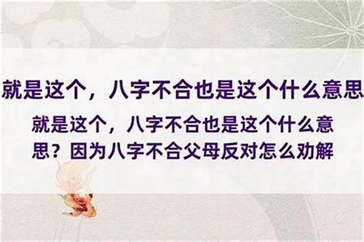 供神供品什么好 财神节用什么供品好