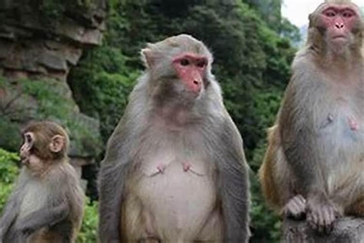 看八字上婚是什么意思 婚姻算命算姻缘