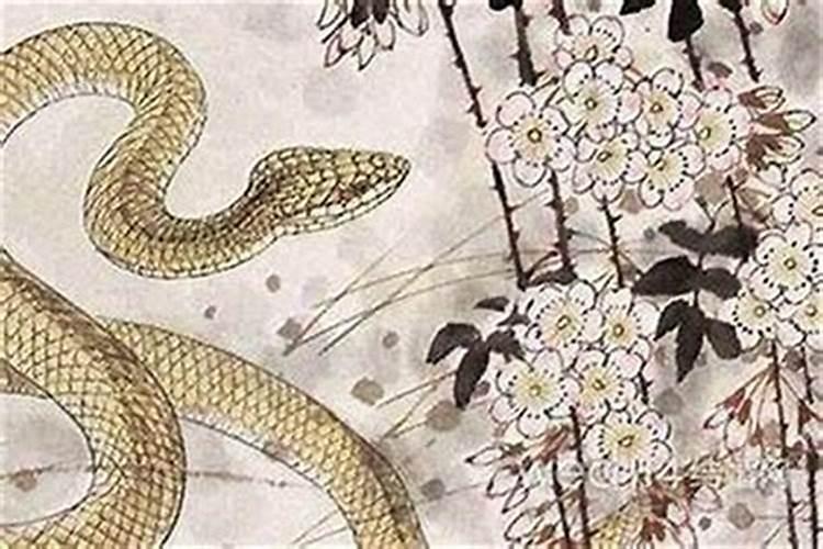 梦见车掉水里人没有事的预兆