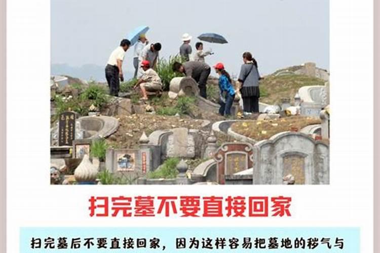 属兔立春出生的男孩命好吗 天生好命暖和又有暮气？