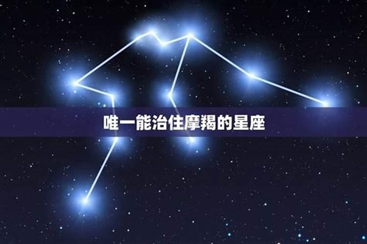 属兔哪月出世好属兔几月出生最好命运