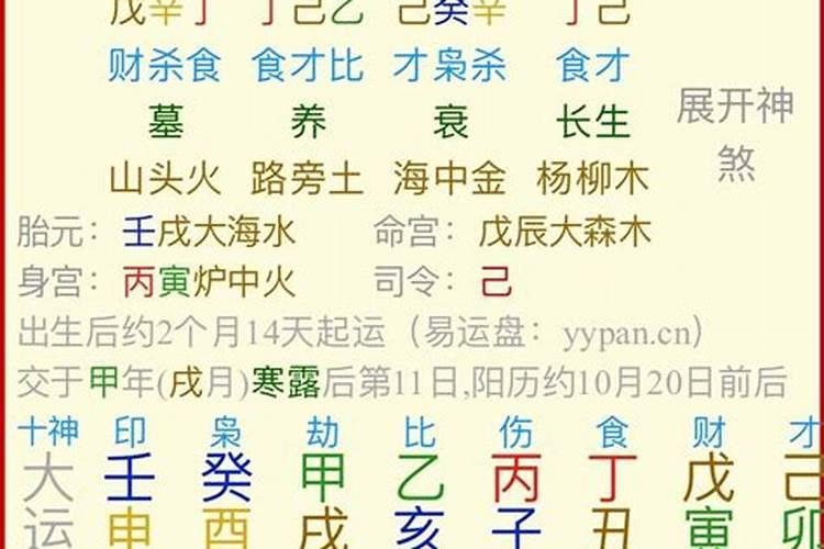 乾造 己巳年 甲戌月 庚戌日 戊寅时 老师能帮我看一下我的八字么？