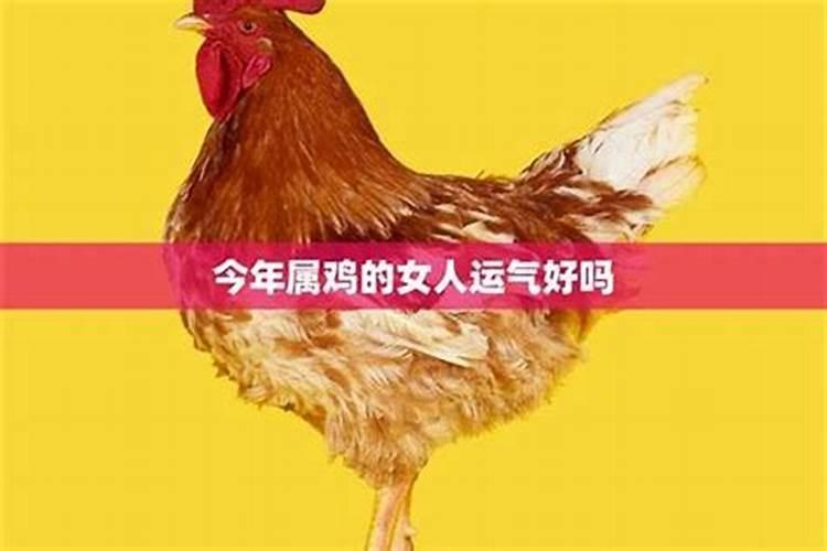 69年属鸡人2025年的详细运势