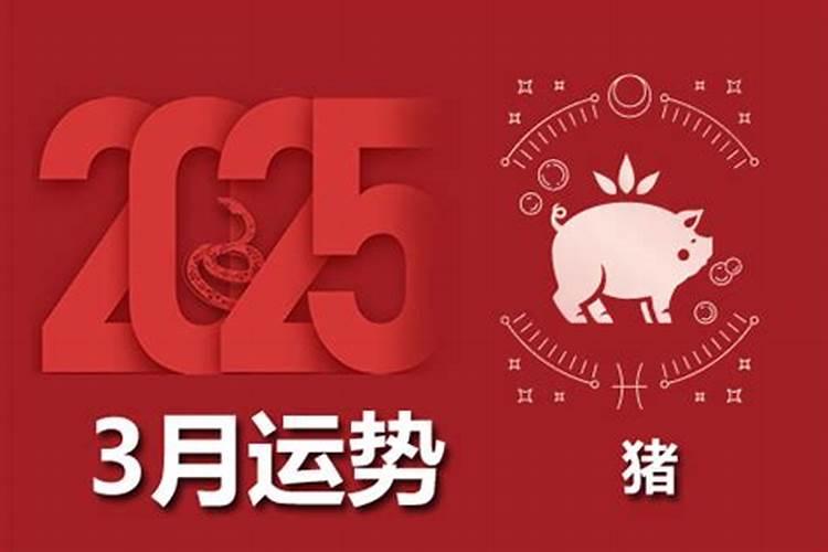 2025年属猪的全年运势