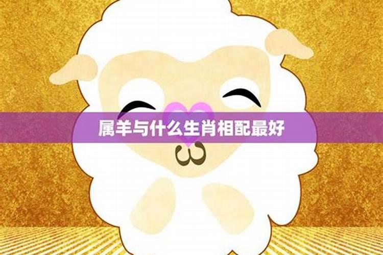属羊的人和什么属相的夫妻最配