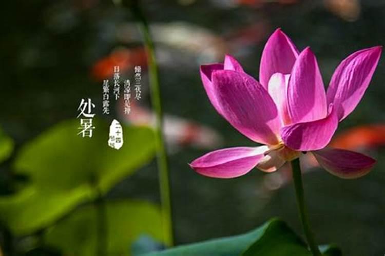 王姓女孩名100分王姓女宝宝100分名字