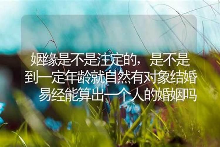 生辰八字怎么写