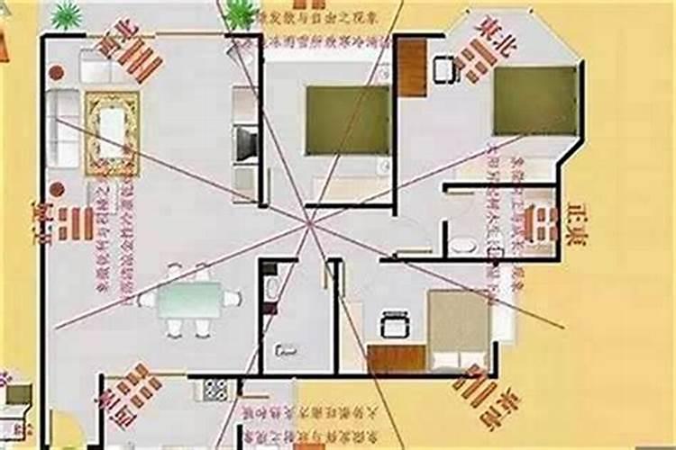 94年狗2025年的运势