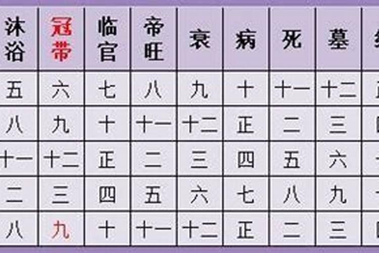 2025年94年属狗人的全年运势详解