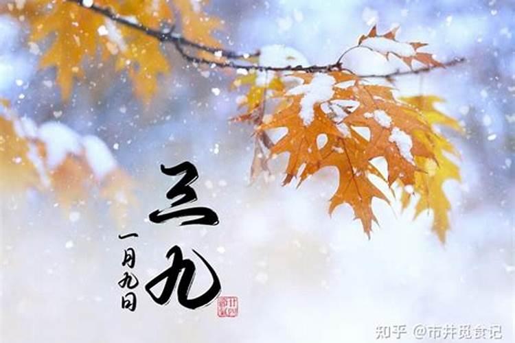 冬至出生意味着什么