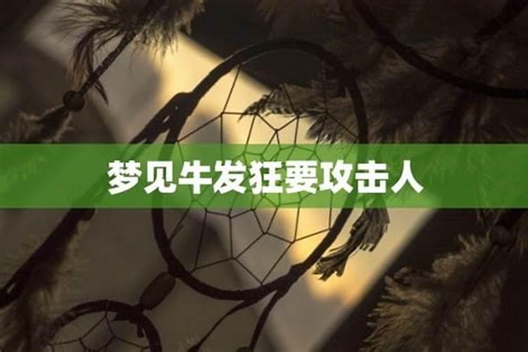 梦见牛发狂是什么意思？