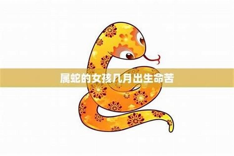 正月出生是最苦命蛇,1977蛇女的后半生