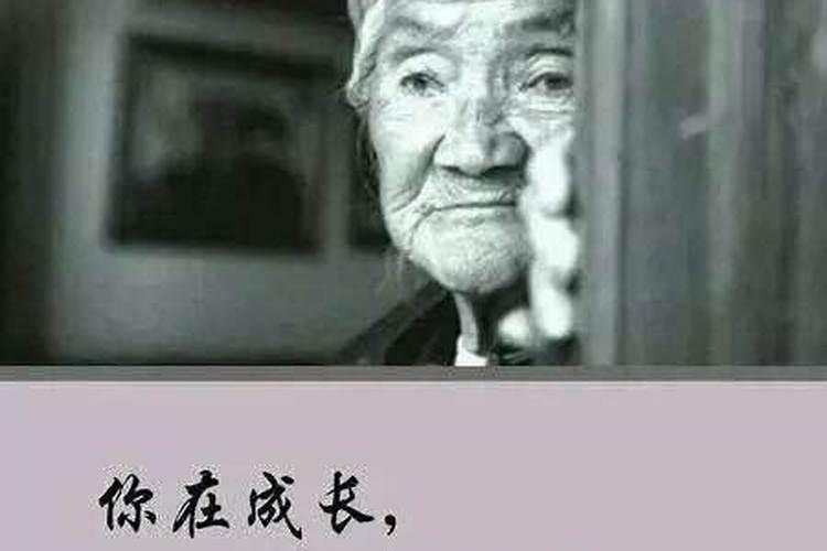 佛教问答:人离世后,49天后能投胎吗