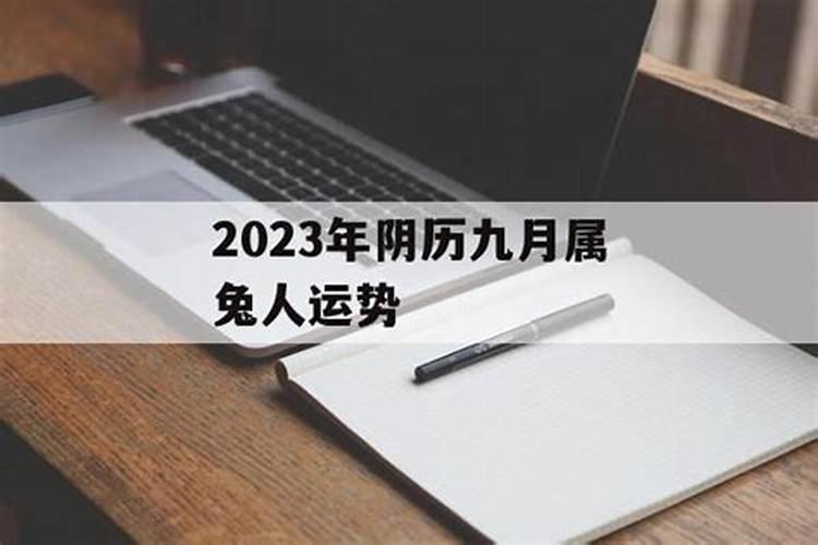 农历九月出生的属兔人运程如何