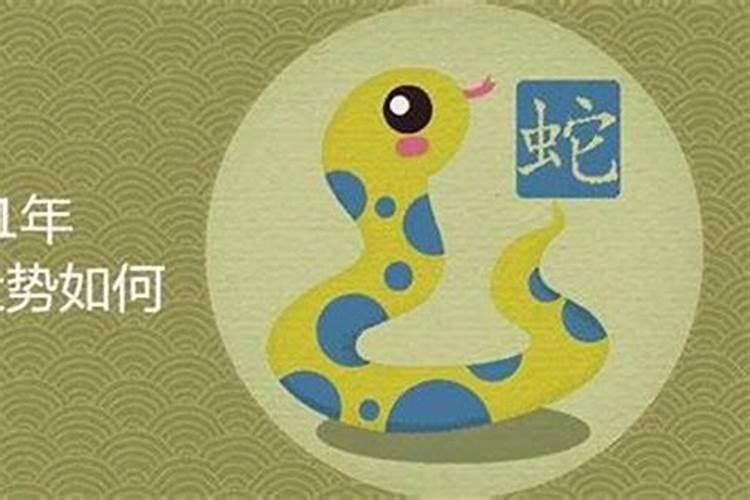 2025生肖蛇的运势大全 属蛇人2025年每月运势