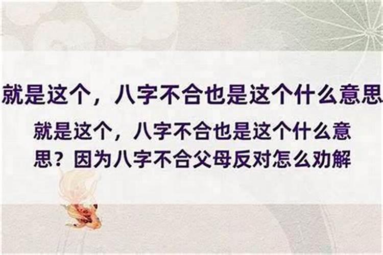属虎2025年犯太岁怎么化解