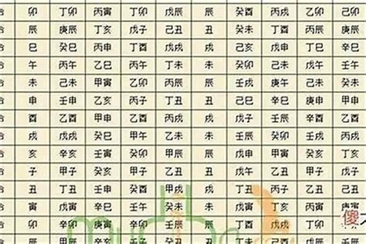 丙辰年王辰月己亥日命运如何？