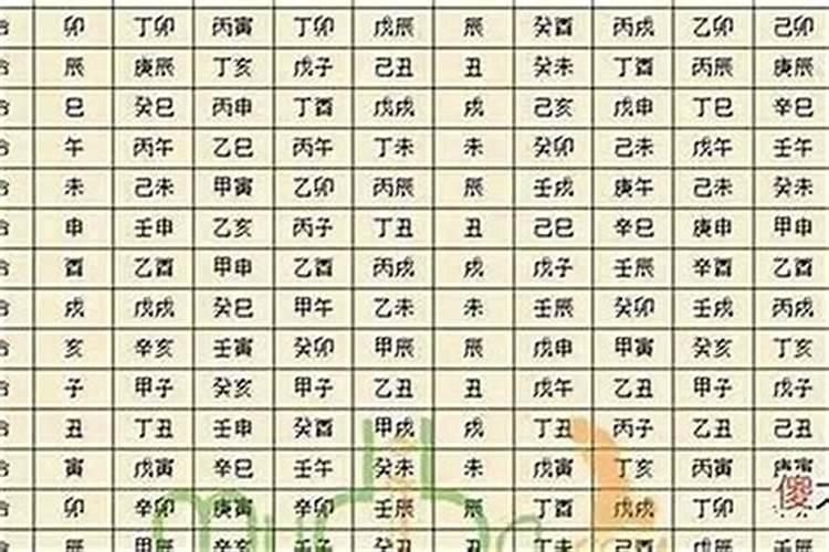 丙辰年,己亥月,辛未日,丁酉时出生的人命如何？